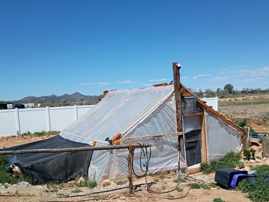 walapini with plastic roof.  made from recycled materials